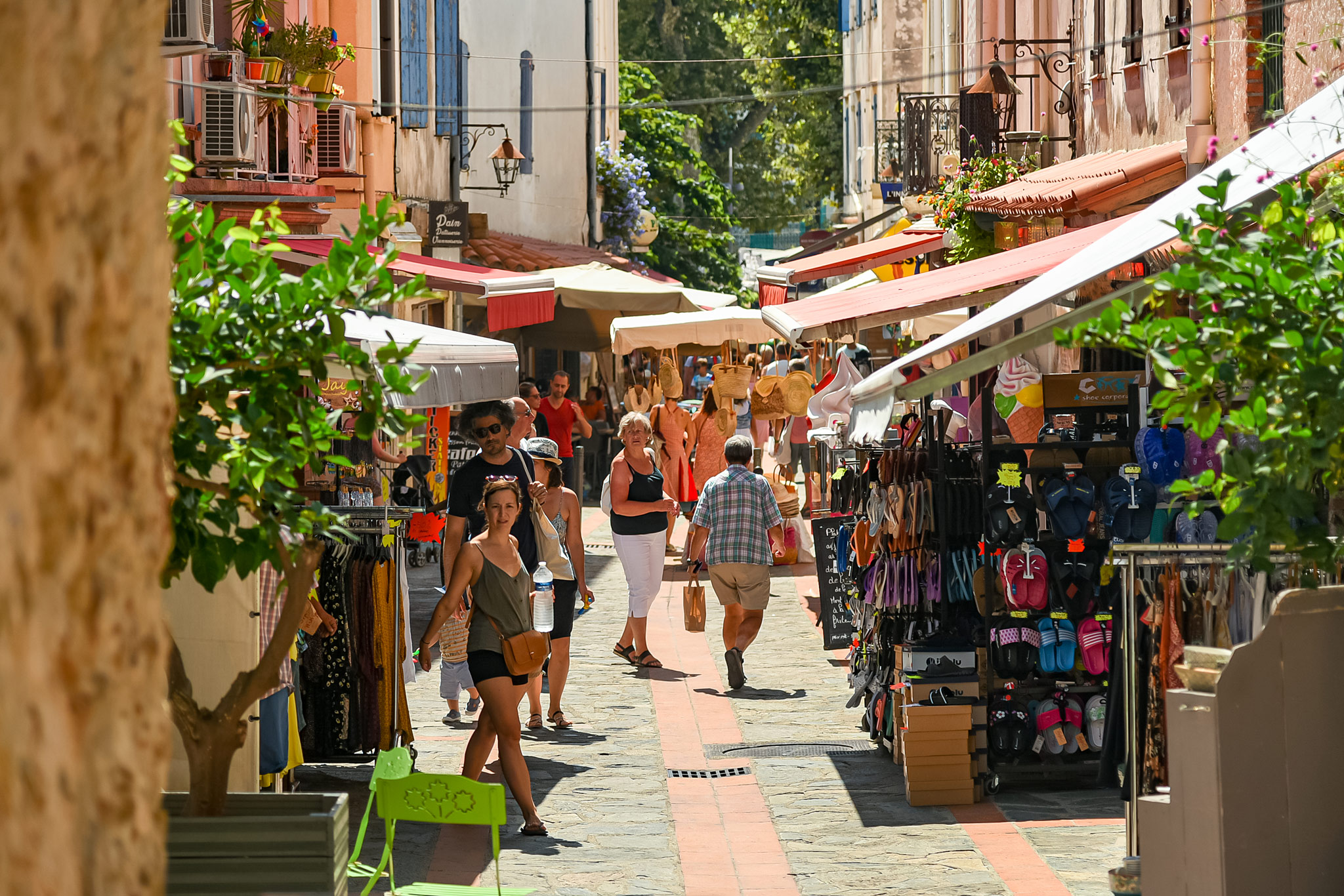 Banyuls-sur-Mer, Côte Vermeille